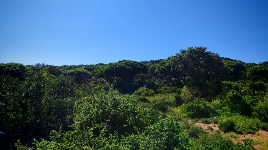 0 Bedroom Property for Sale in Somerset East Rural Eastern Cape